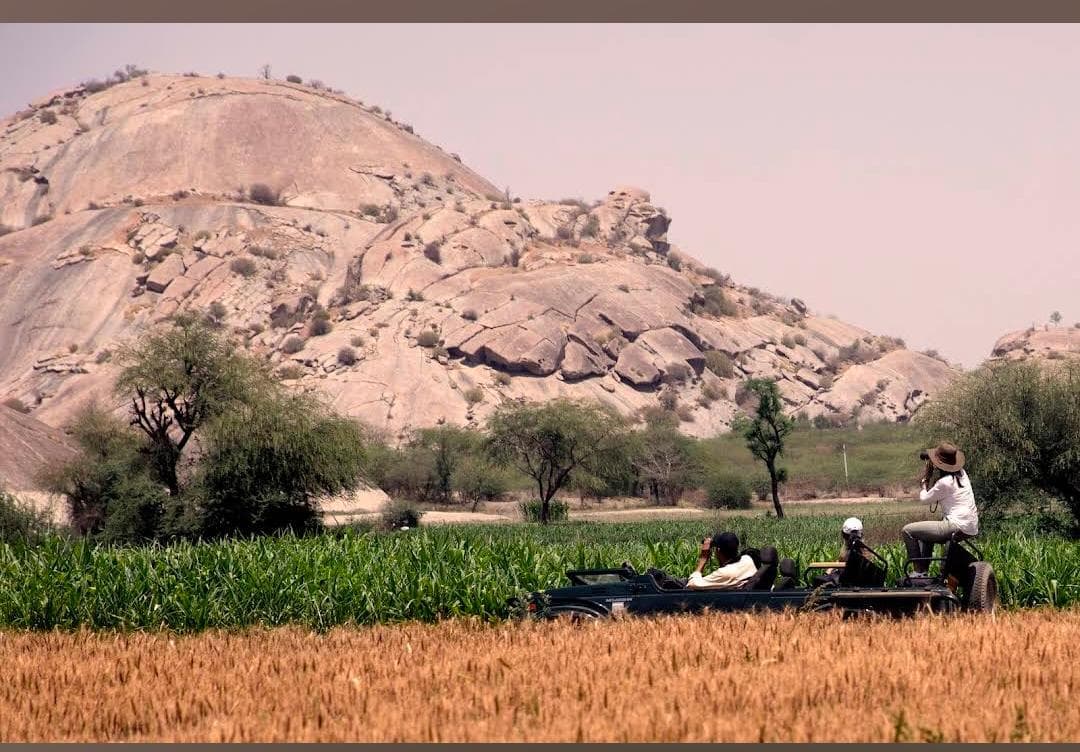 Amritara Jawai Sagar thumbnail 5