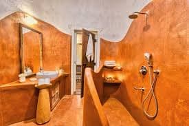 The Earth Ranthambore thumbnail 6