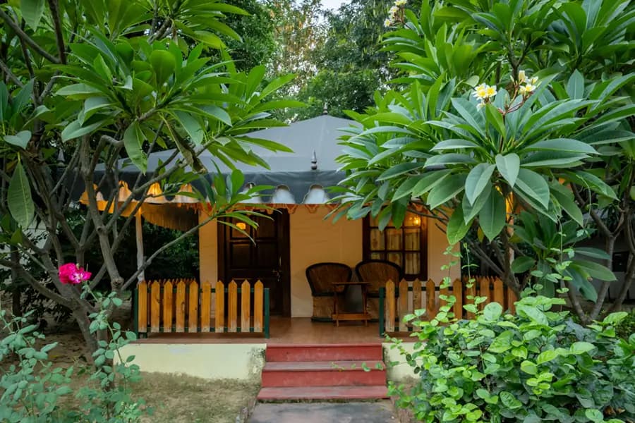 Jungle Cave Resort thumbnail 3