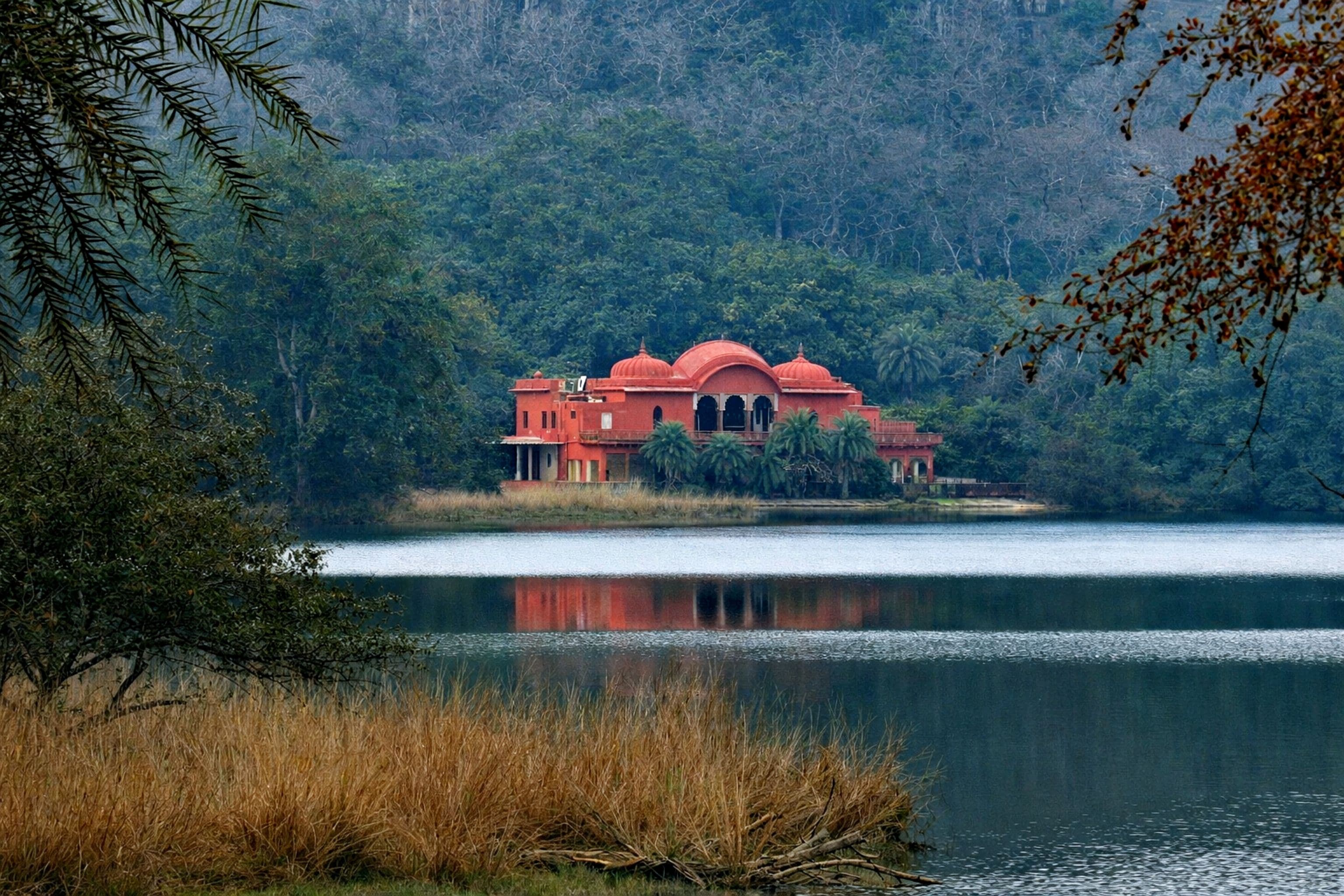Ranthambore Jungle Safari 3DAYS/2NIGHT With Jeep Safari & Chambal Safari — photo 4