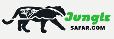 Safari Tours Logo