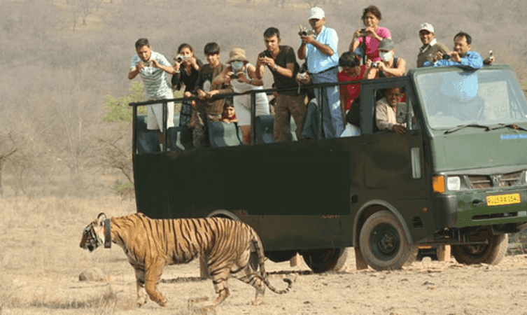 Ranthambore Canter Safari ā photo 3